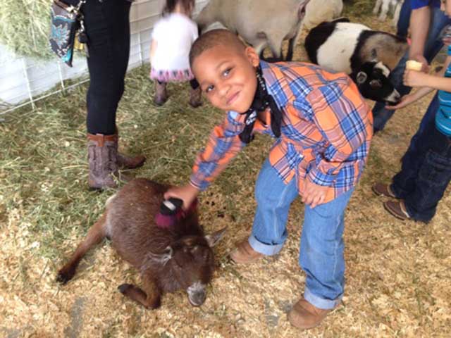 San Antonio Stock Show & Rodeo - FEBRUARY